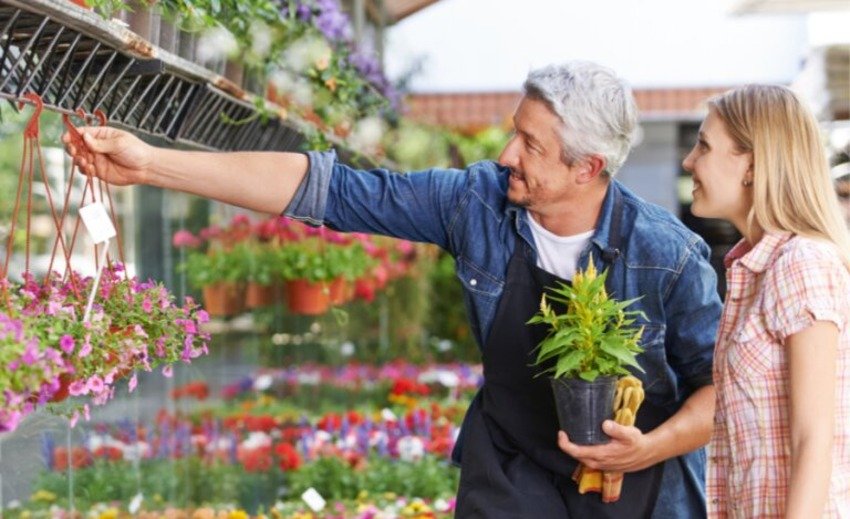 The Benefits of Plant Nurseries Webfreen.com: Your Ultimate Guide to Green Living